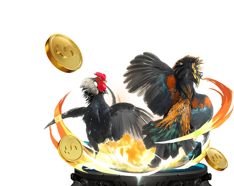 Chương trình hoàn trả Win55
